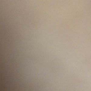 Meet your Posher, Faye